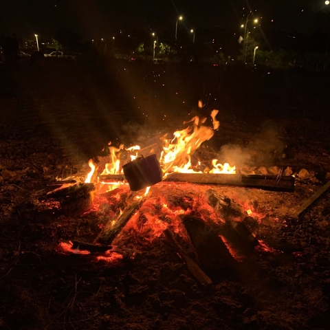 תמונת היום